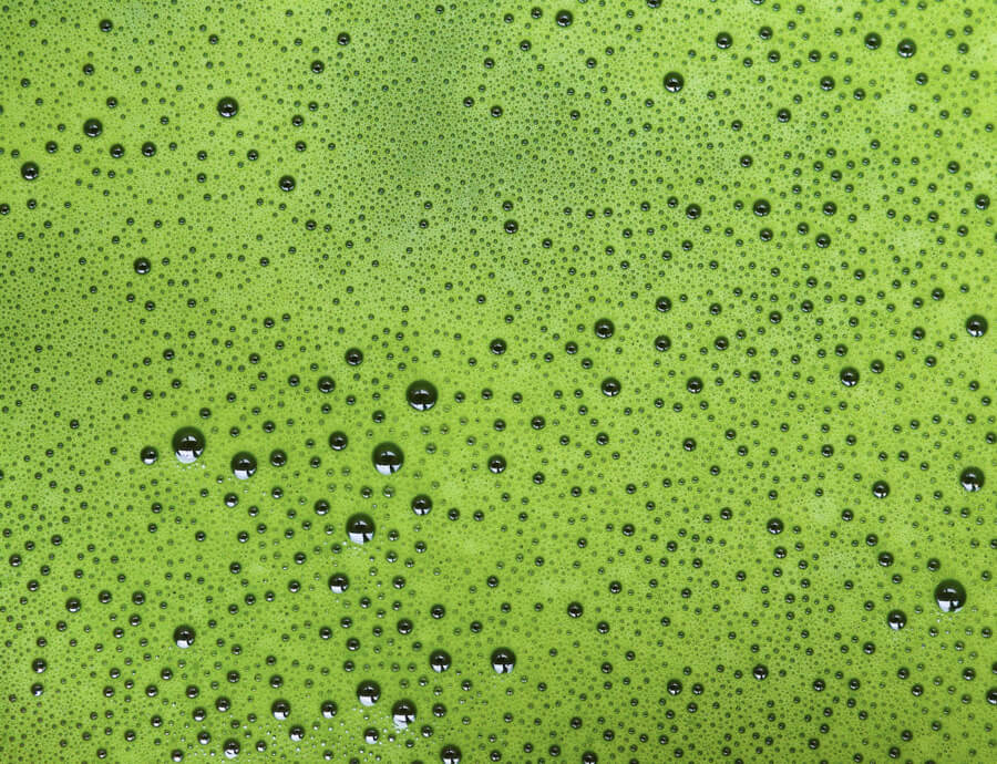 benefits matcha oko moments
